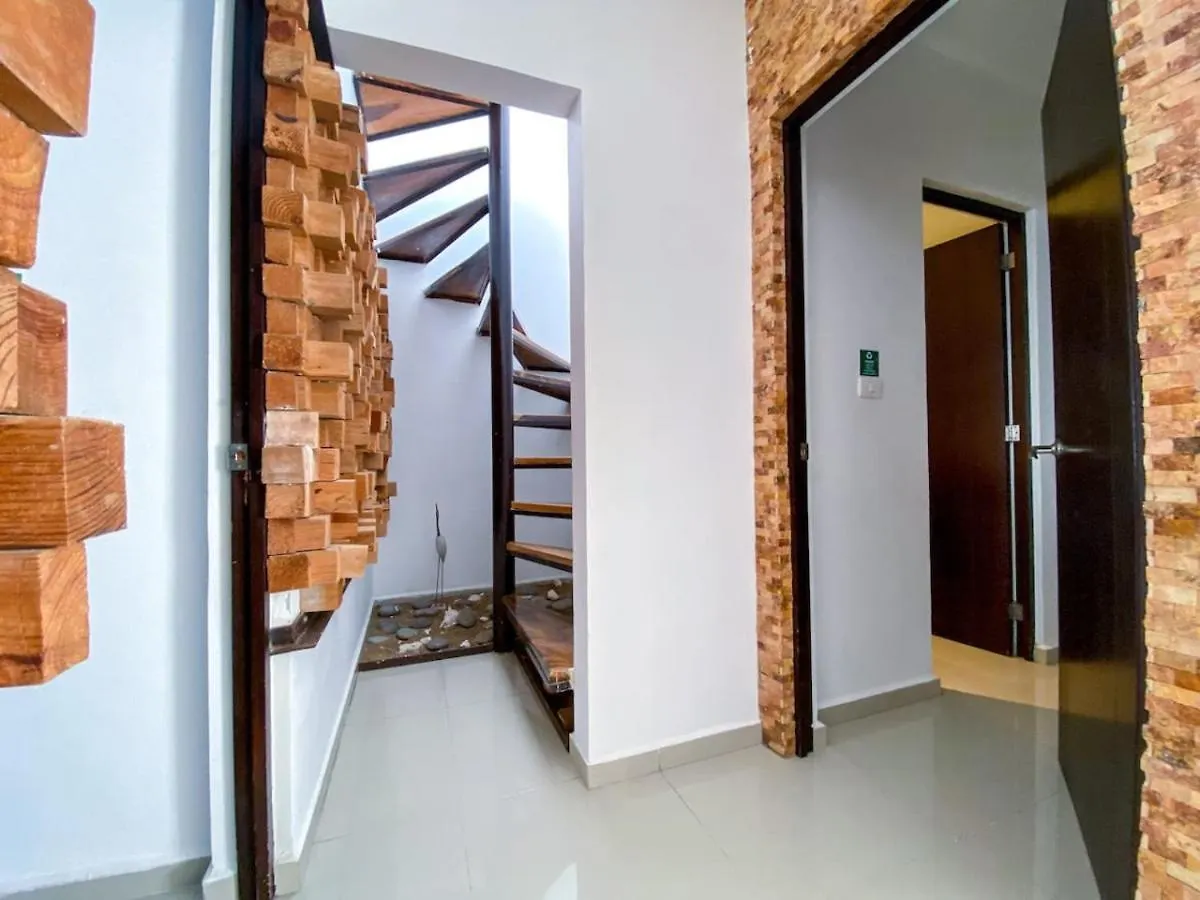 Downtown 6Br Ph With 2 Private Jacuzzi For Large Groups Apartment Playa del Carmen