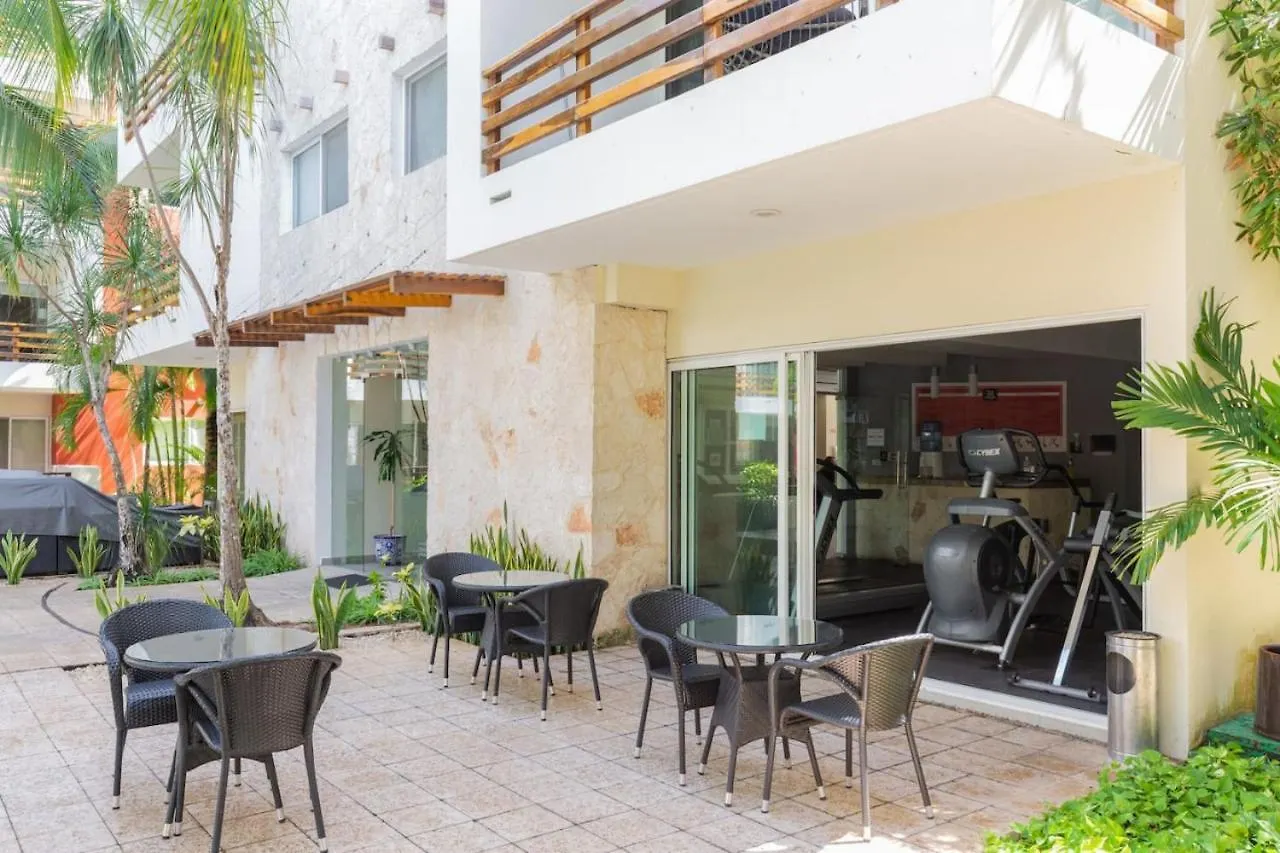 Downtown 6Br Ph With 2 Private Jacuzzi For Large Groups Apartment Playa del Carmen